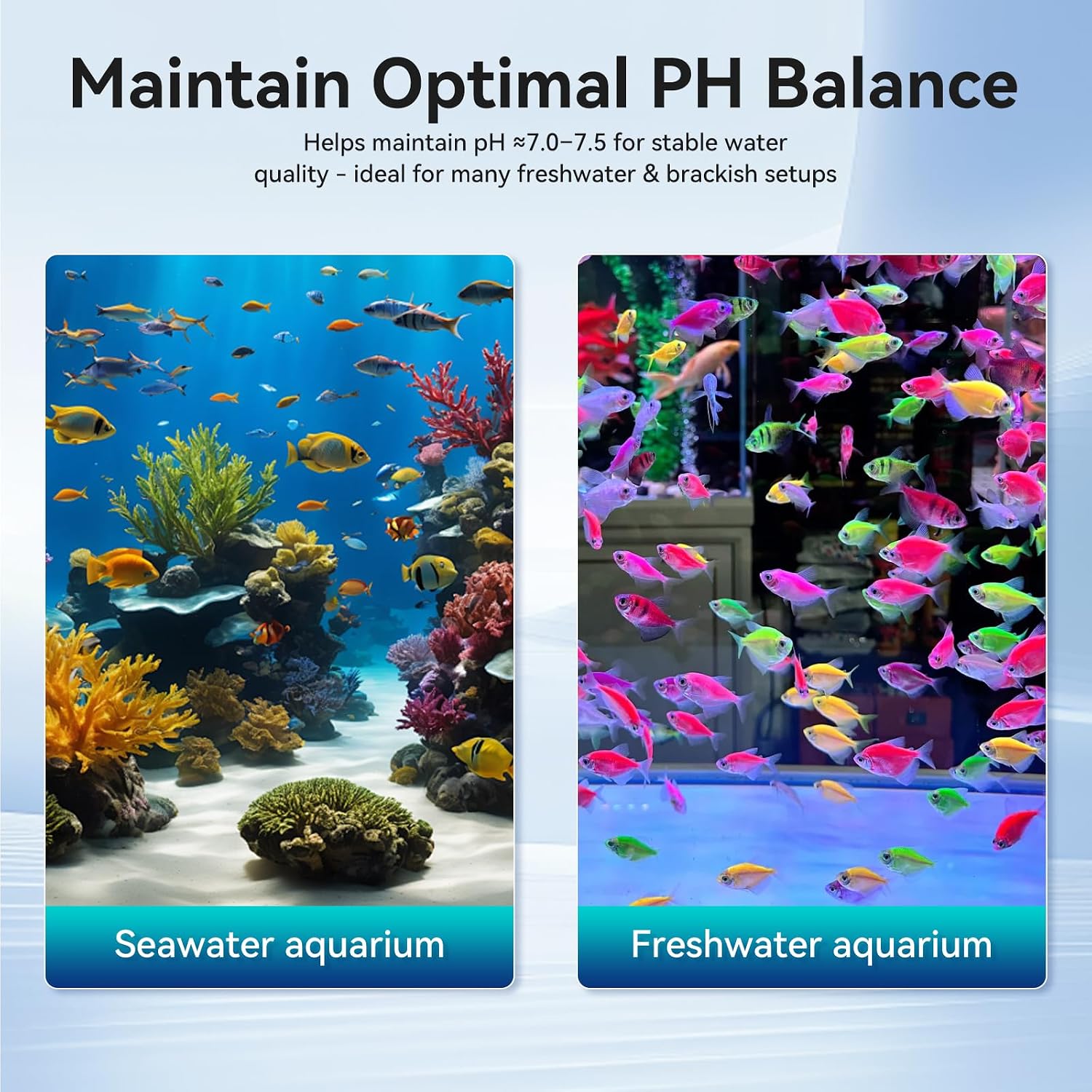 Aquarium Filter Media for Freshwater & Marine Tank Bio House Filter Media with Ceramic Ball & Bio Balls, Helps Maintain Clear Water for Sump, Pond & Koi Fish Tanks image 4