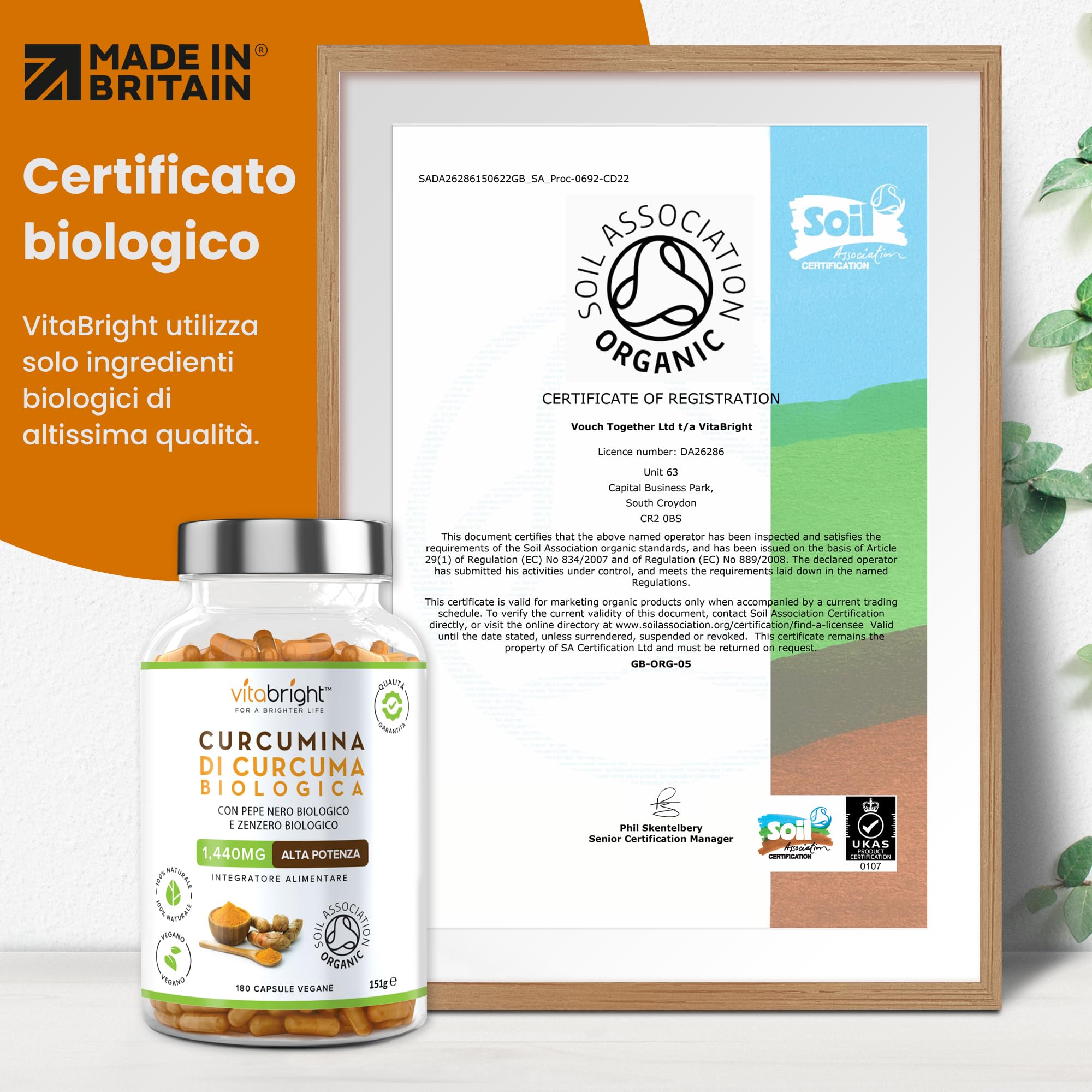 Bio Curcuma Capsule con Pepe Nero e Zenzero 1440 mg | 180 Capsule | 3 Mesi di Fornitura | Fonte di Curcumina e Piperina | Integratore Alimentare Biologico | VitaBright Curcuma Longa Complex