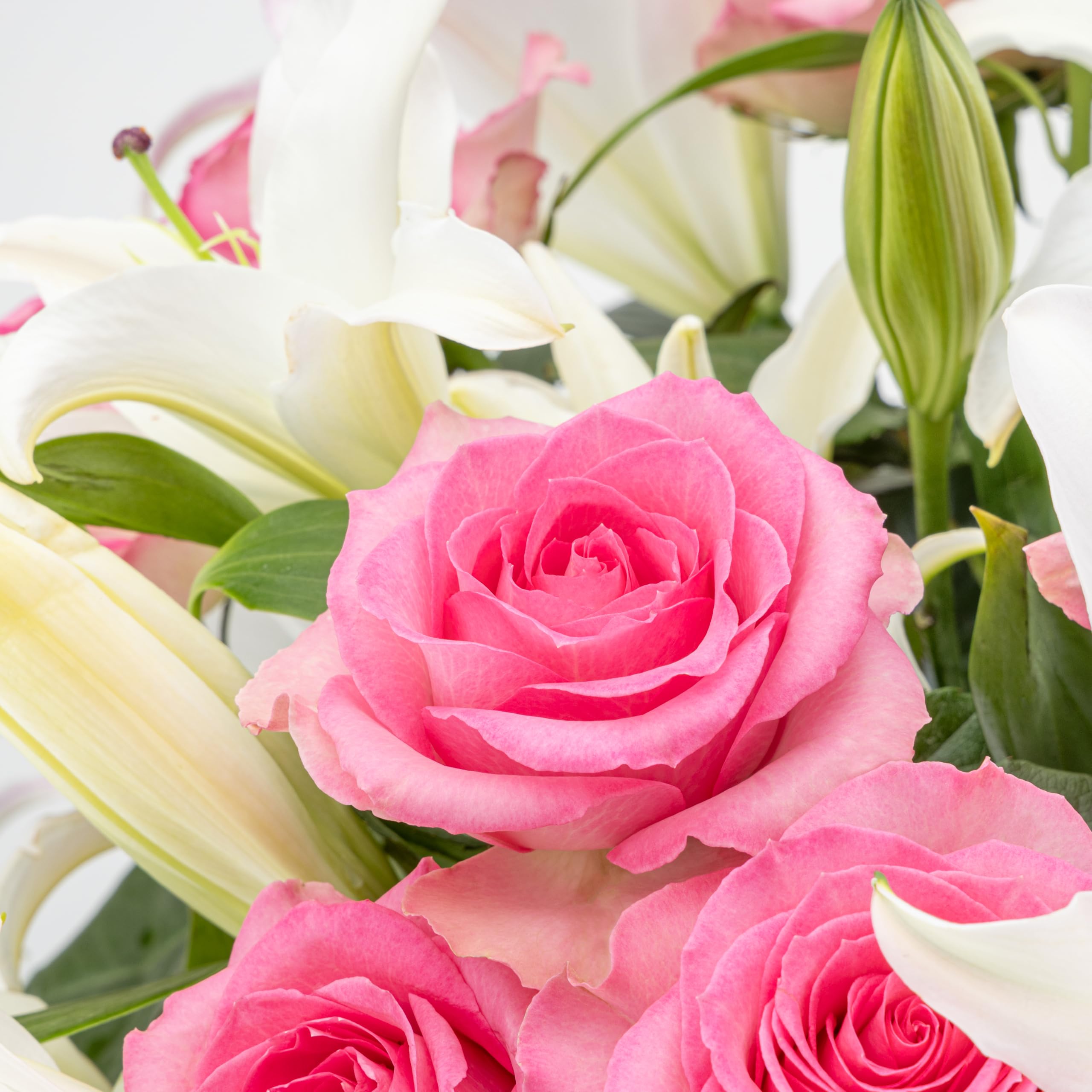 Benchmark Bouquets Roses rose clair et lys orientaux blancs, avec vase (fleurs fraîchement coupées)
