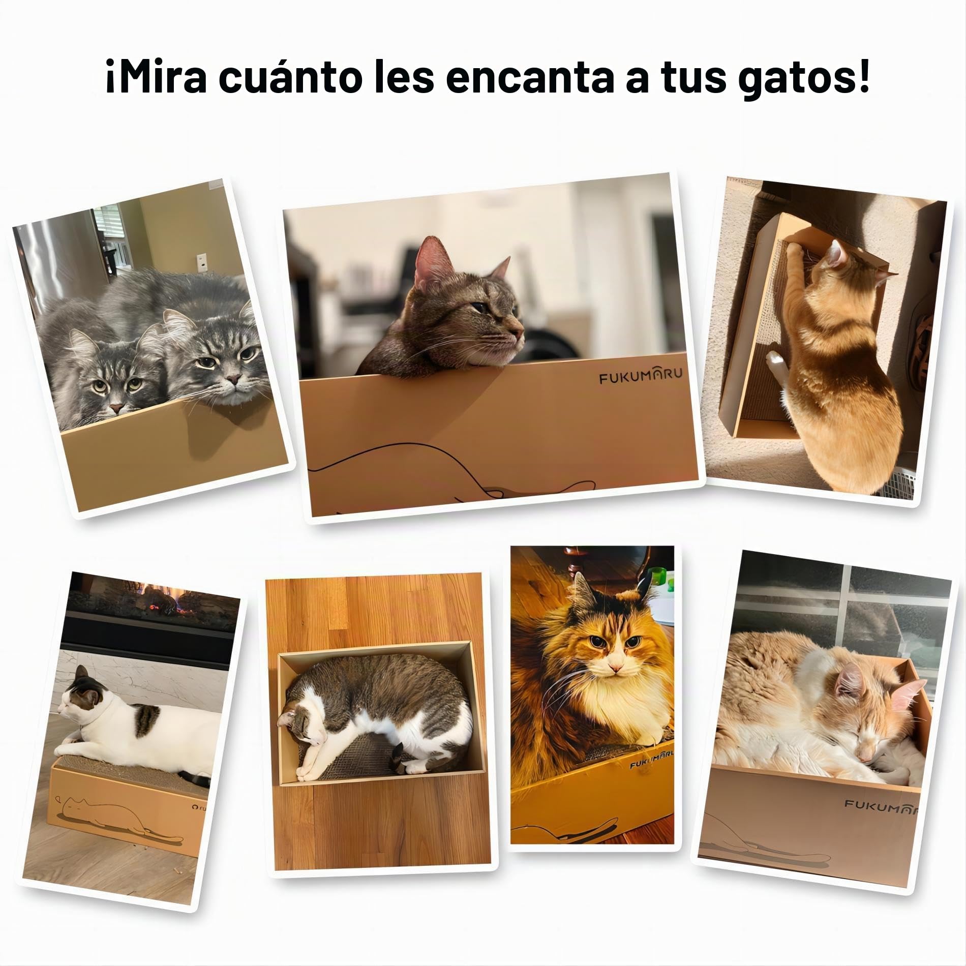 FUKUMARU Gato rascador de cartón 5 Piezas con Caja, Reversible, Cat Scratch Pad, Kitty Ondulado rascador Cama