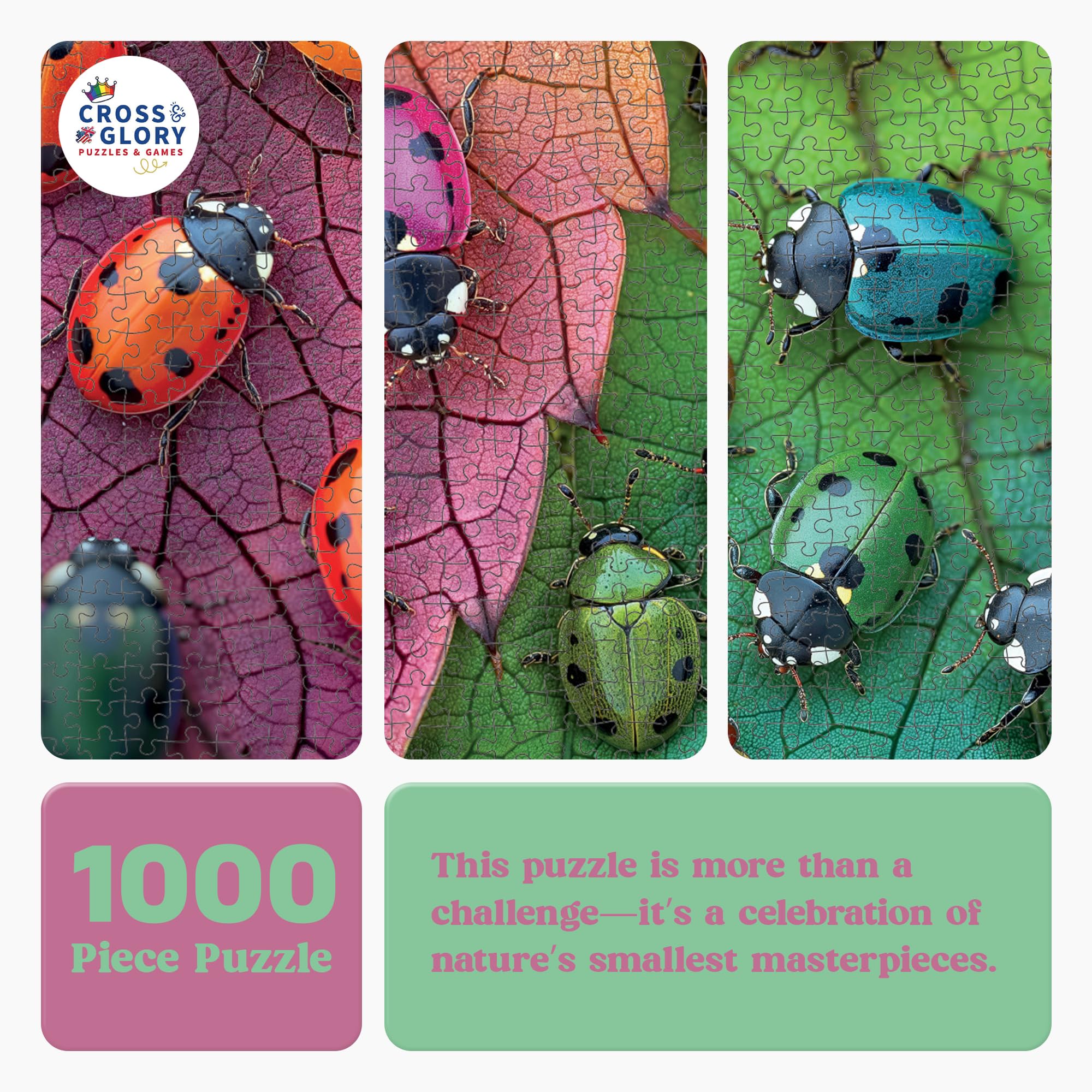 MAPPON REED Lady bug♡ 　3本セット MAPPON REED Lady bug♡ 3本セット Amazon.co.jp: Ladybug Toy