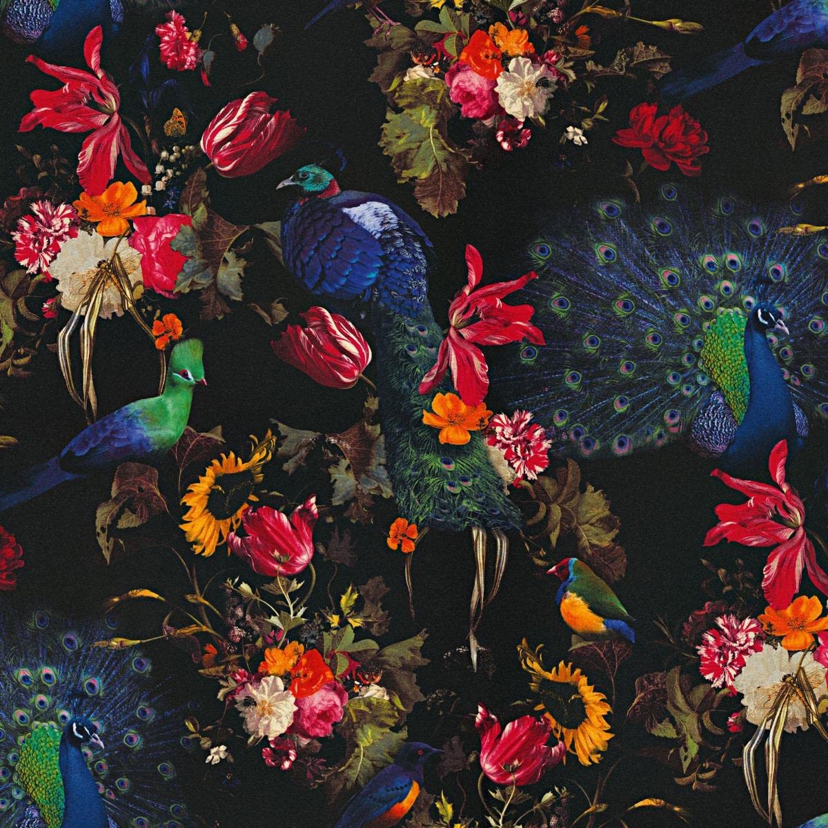 Erismann Instawalls Peacock Bird Floral Wallpaper Multi/Black 6371-15