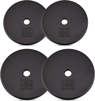 Yes4All Standard Weight Plates, 1-Inch Cast Iron Barbell Weights, Wide Range 550 LB, Ideal for Strength Training & Workout Routine, Available in Single, Pair & Set of 4