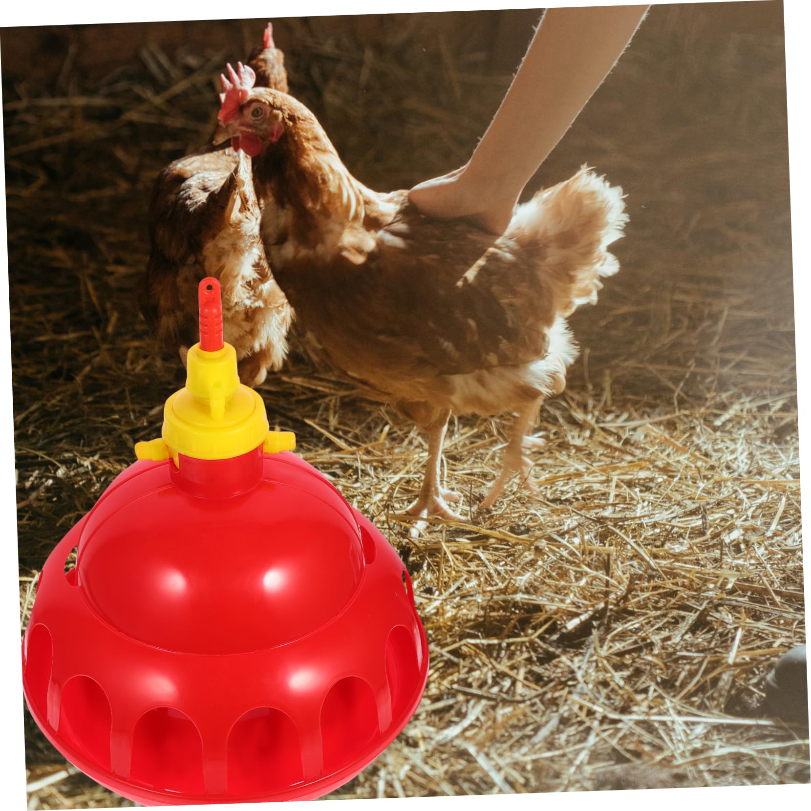Toyvian 1pezzi Distributore Per Animali Domestici Abbeveratoio Per Piccioni e Quaglie Abbeveraggio Per Pollame Facile Da Usare Per Allevamento e