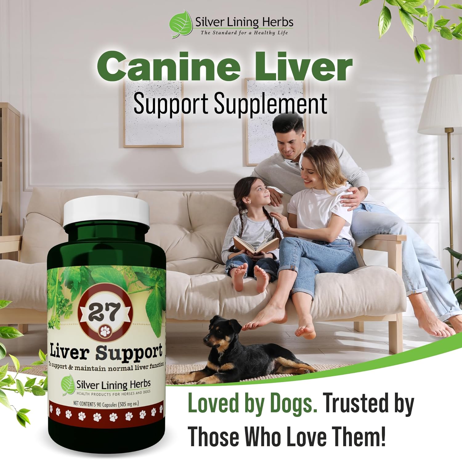Silver Lining Herbs Dog Liver Support - Natural Herbal Dog Vitamins with Milk Thistle Extract, Turmeric, Chamomile & More - Daily Canine Wellness for Liver Cleanse - 90 Capsules