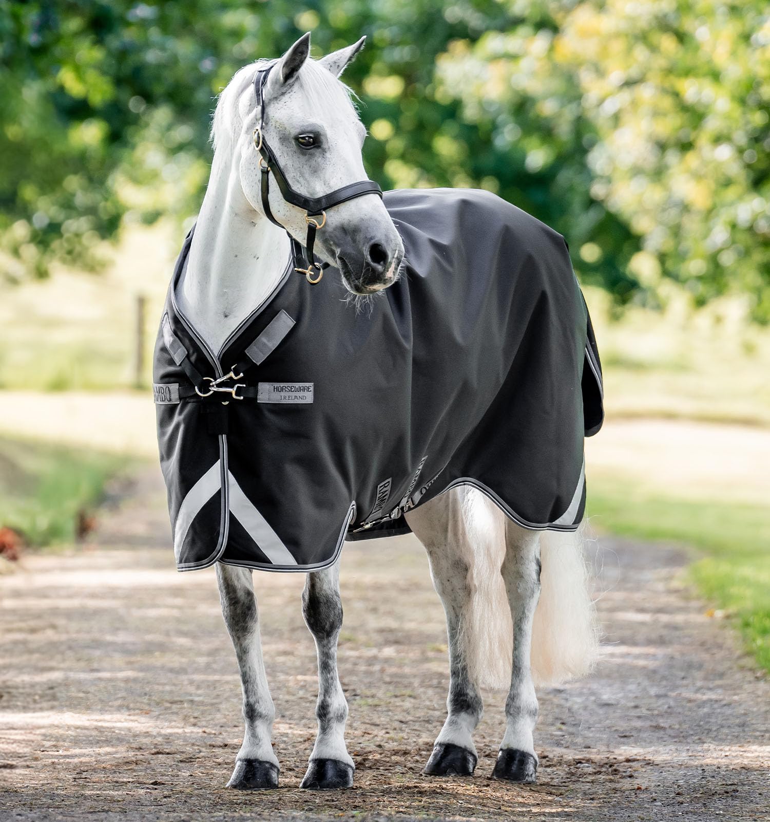 Chemise de pluie Rambo 1680D 0g excellence de la protection équestre