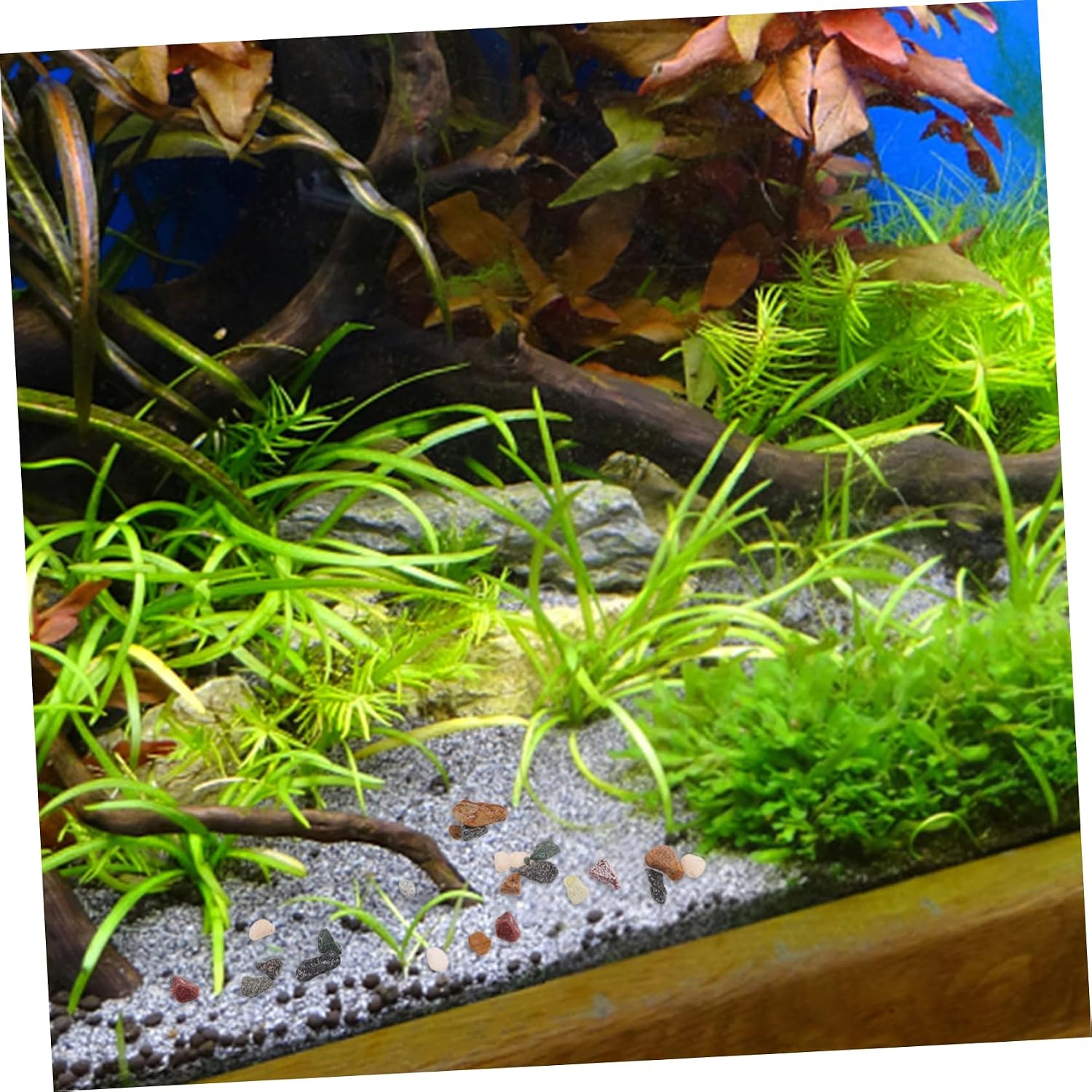 Kisangel Decorative Aquarium Gravel for Fish Tank Landscaping Natural Stream Stones Small Pebbles for Indoor Plants Substrate for Aquariums and