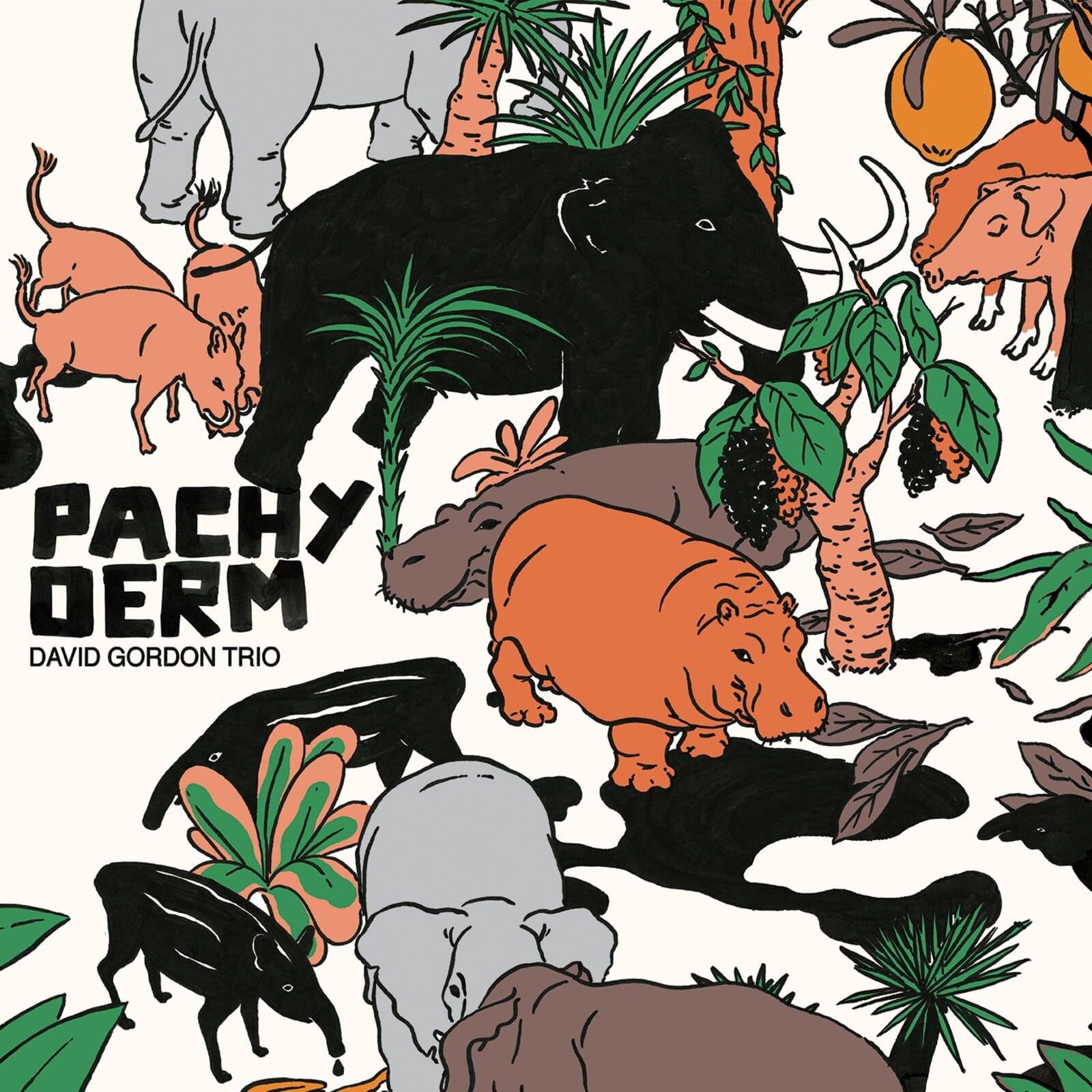 David Gordon Trio Pachyderm LP Vinyl SAMLP005 NEW