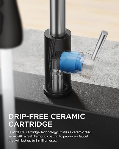 Vista 82 de FORIOUS - Llave de fregadero de acero inoxidable para cocina B07Y4Y88Y6