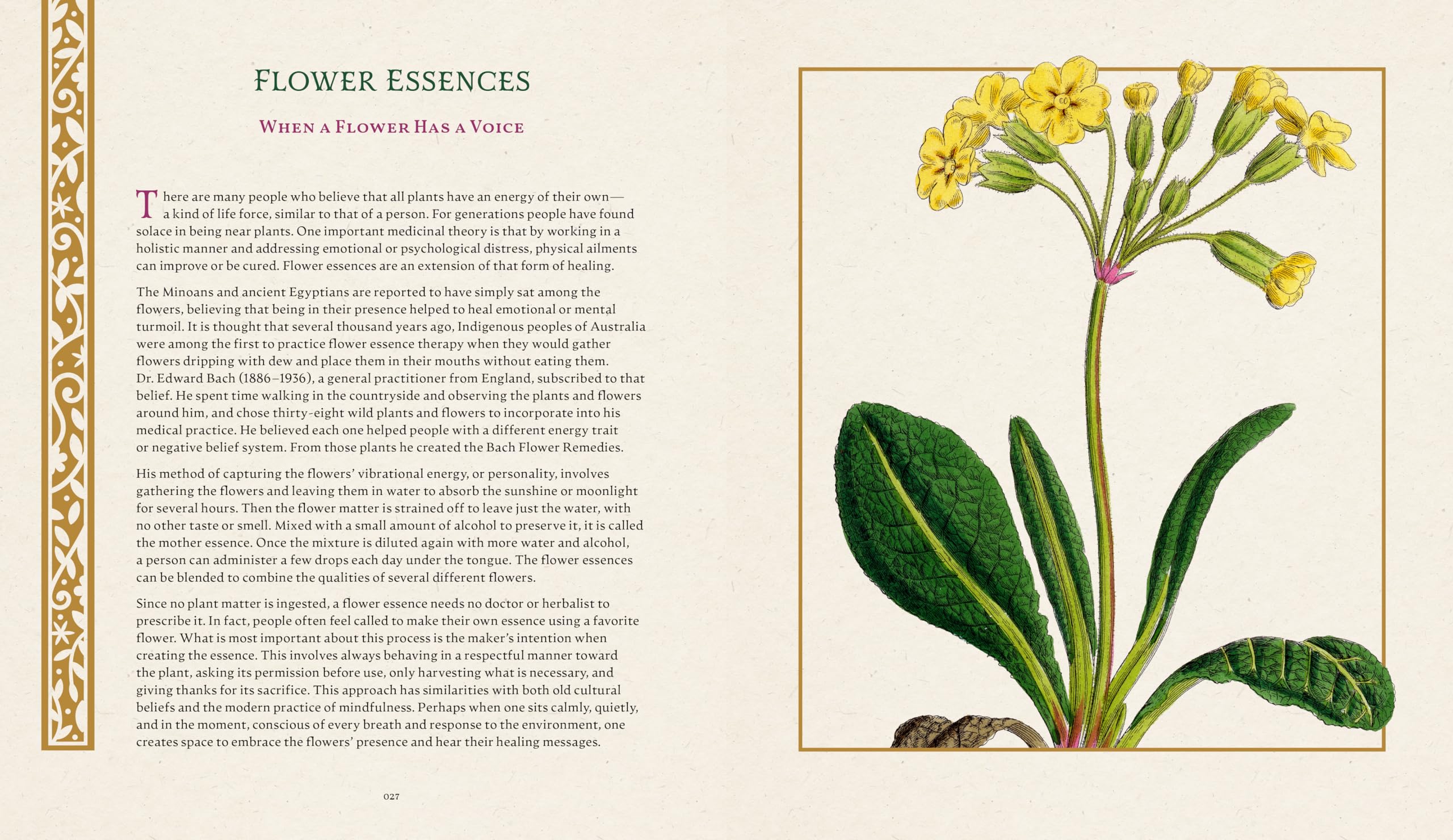 The Folklore of Wildflowers: Stories and History in Bloom