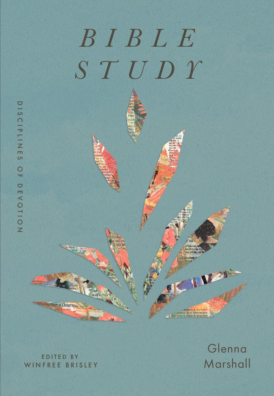 Bible Study (Disciplines of Devotion)