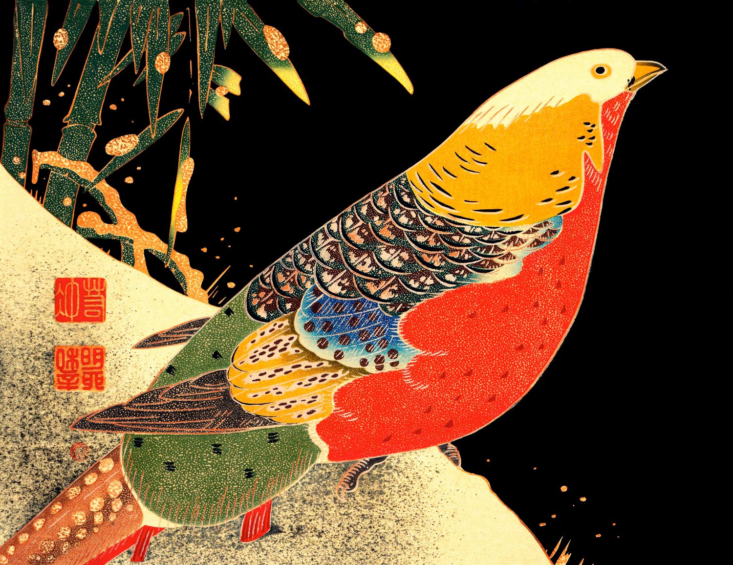 Amazon.com: Golden Pheasant In The Snow 8.5x11