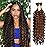 Human Braiding Hair Mix Synthetic Boho Hair for Braiding, 20 Inch Deep Wave Bulk for Boho Braids 2 Pcs Curly Bohemian Wet and Wavy Braiding Hair(P4/30, 20 Inch-2pcs)