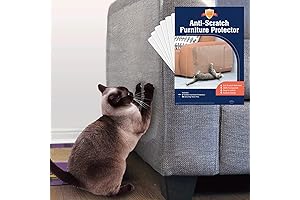 Stelucca Cat Scratch Couch Repair