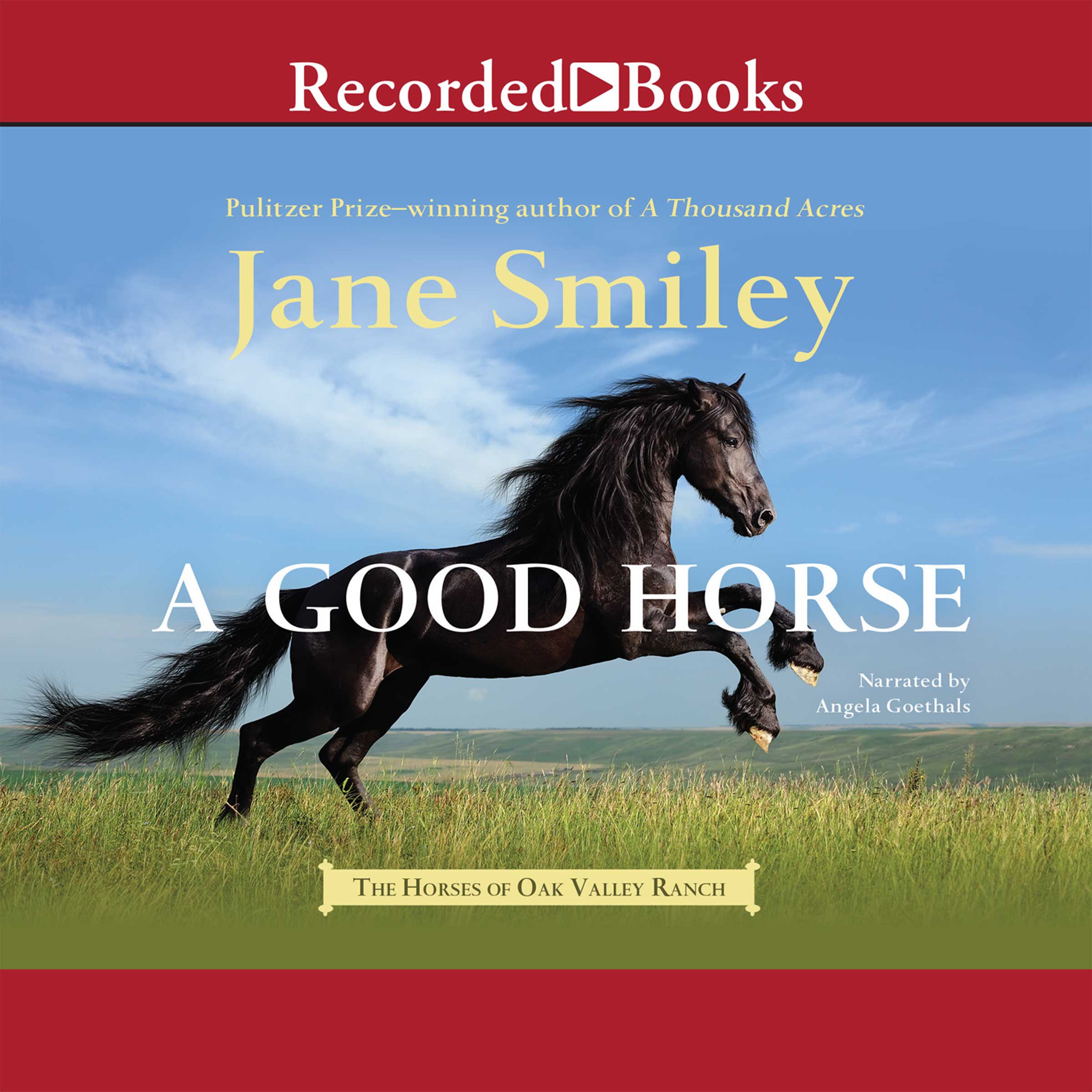 Cover art for A Good Horse