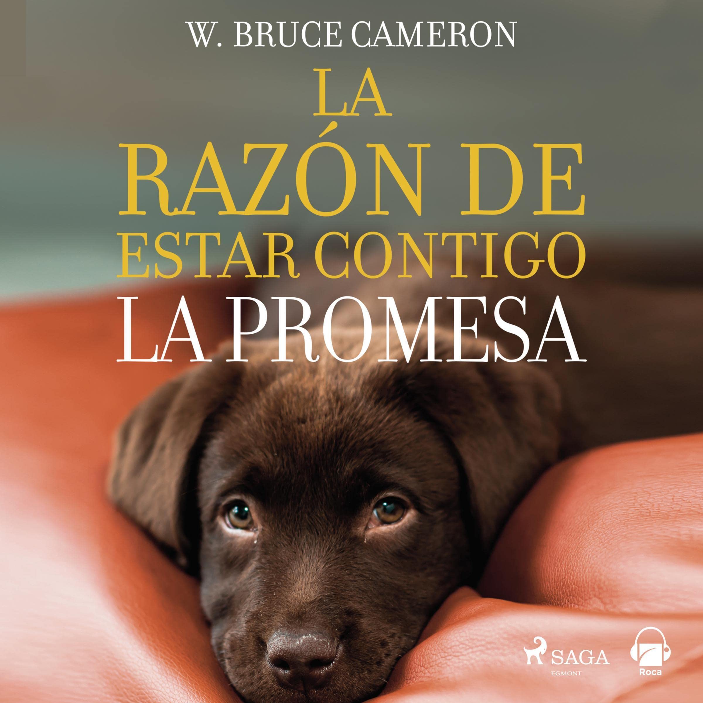 Cover art for La promesa