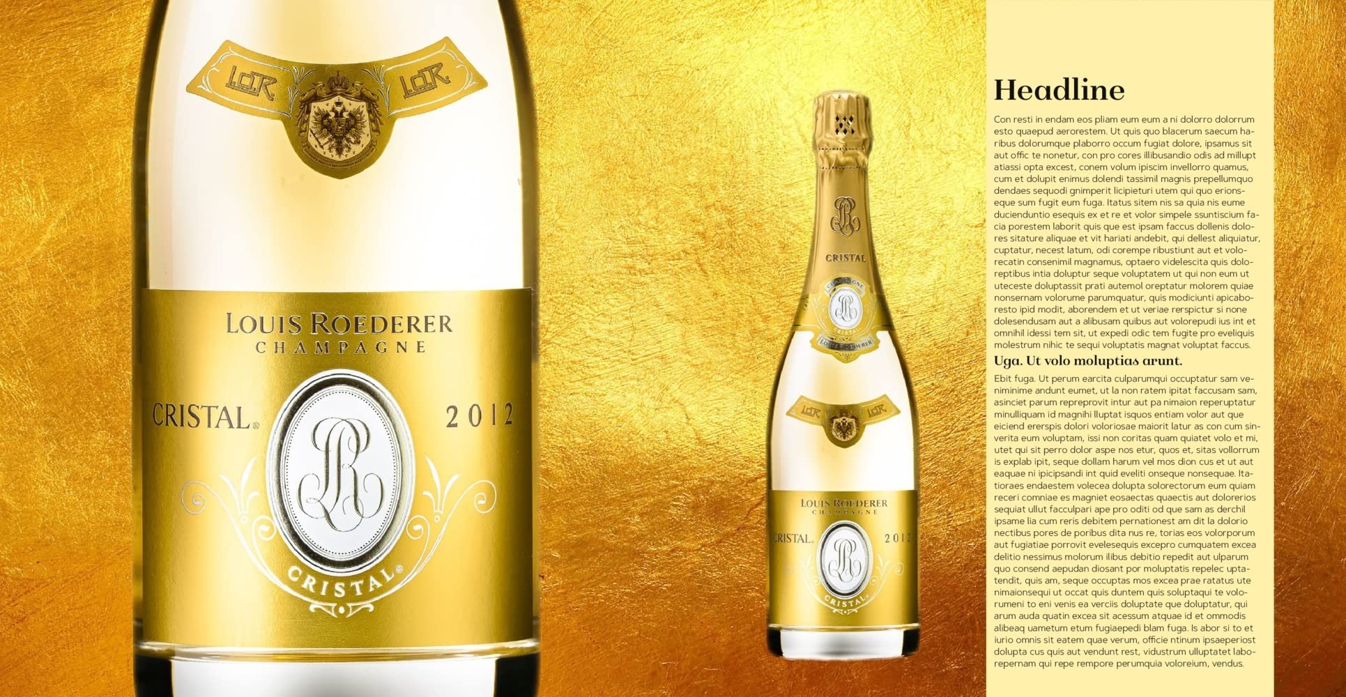 Champagner: Die 100 wichtigsten Maisons, Winzer und Kooperativen - Ausgezeichnet mit dem Deutschen Kochbuchpreis Gold 2021
