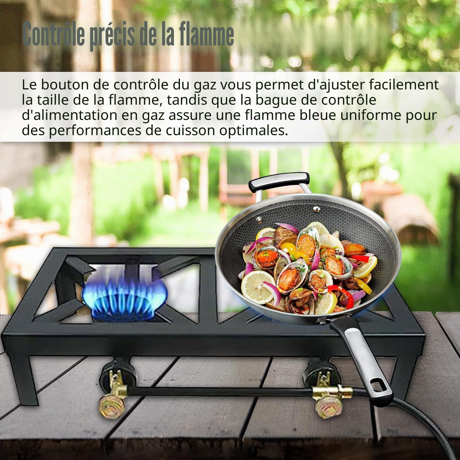 Cuisinière à Gaz Portable en Fonte, Double Brûleur avec Récupérateur de Chaleur, 16000W, Noir