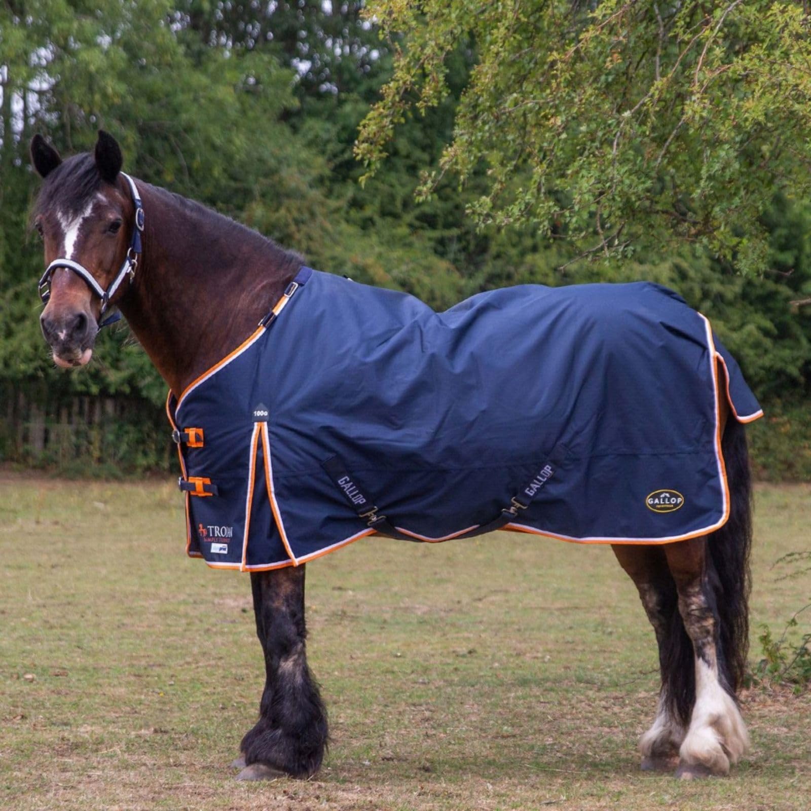 Gallop TROJAN Duraproof 100g 5-Point Standard Neck Turnout (6'6)
