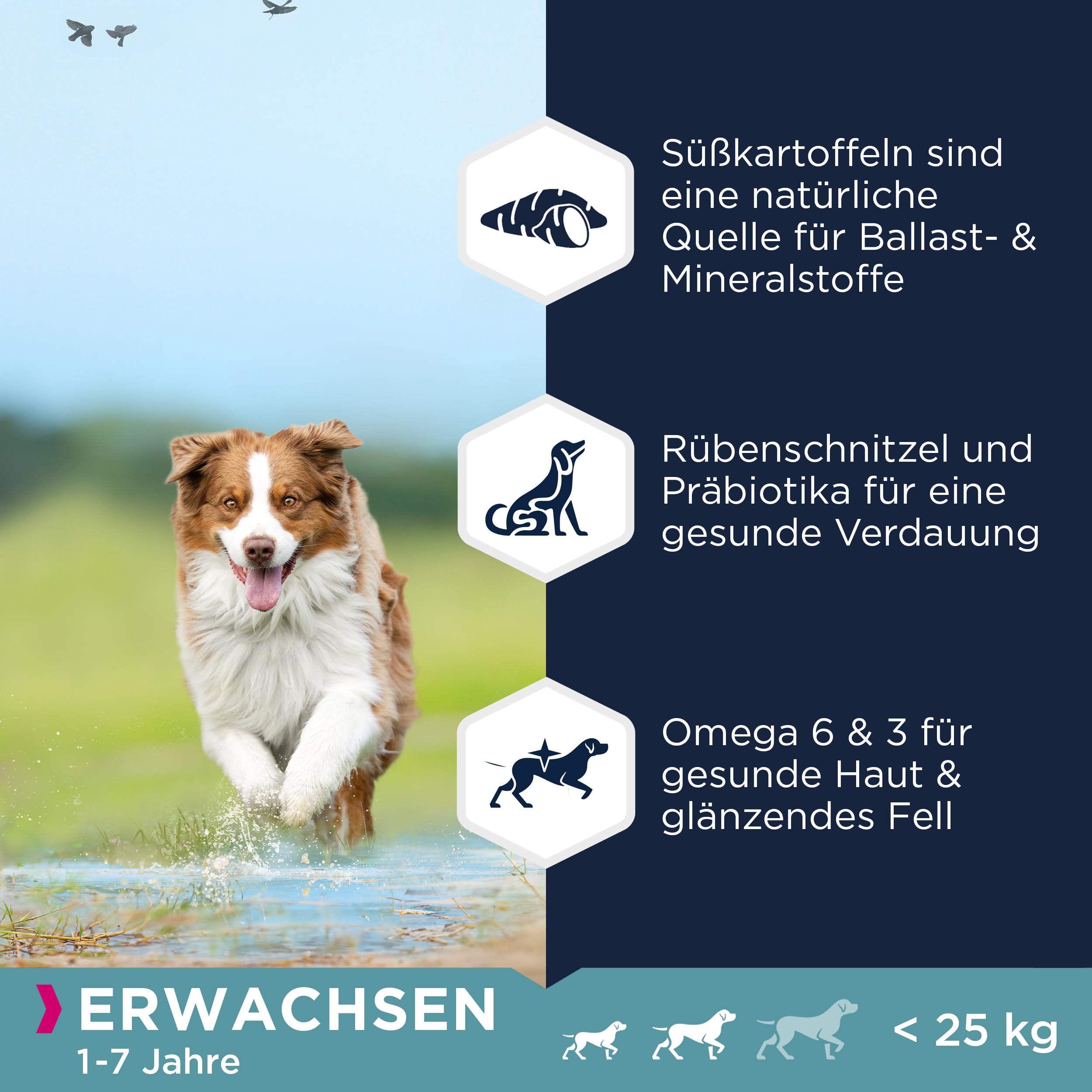 Eukanuba Hundefutter getreidefrei mit Lamm für kleine und mittelgroße Rassen - Trockenfutter für ausgewachsene Hunde, 12 kg