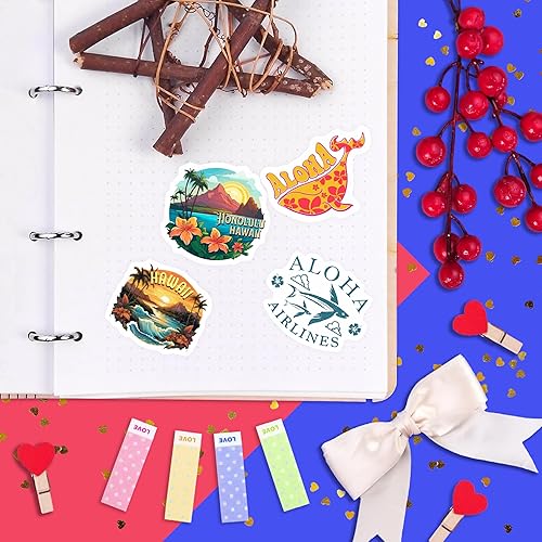 Vista 254 de BulbaCraft 100 calcomanías de meme de gato, divertidas calcomanías de gato, regalos para mujeres y hombres Gato Meme