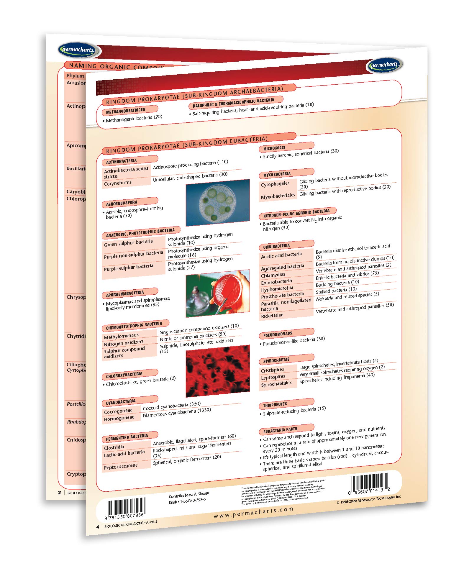 Biological Kingdoms - Biology Quick Reference Guide by Permacharts - Image 3