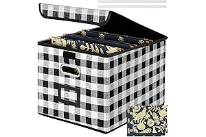 Decorative File Box with Lid and 3 Folders for Letter/Legal- Black & White Lattice