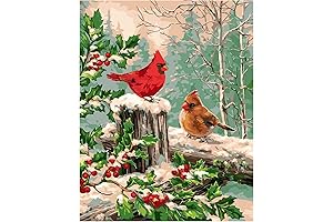 CNPanda Paint by Numbers Kit: Snowy Cardinal Haven