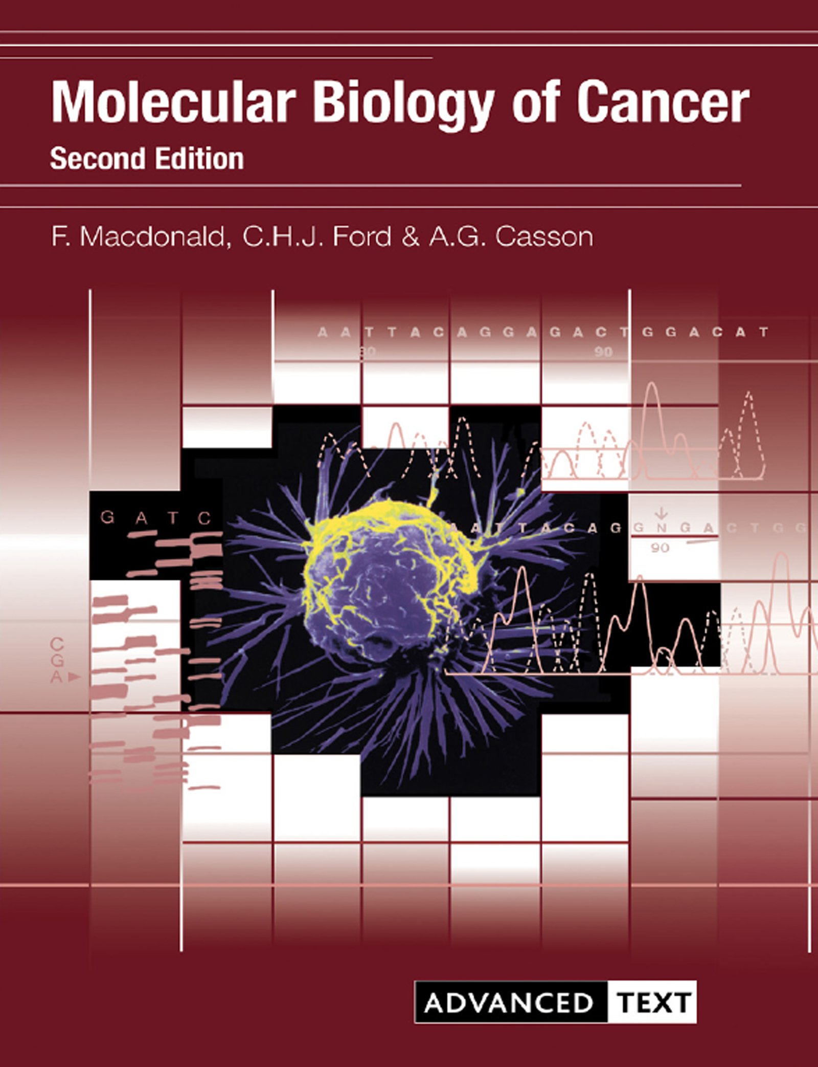 Molecular Biology of Cancer (Advanced Texts)