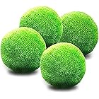 Live Plants - Aquariums & Accessories - Fish & Aquatic Pets - Pet Supplies - Categories