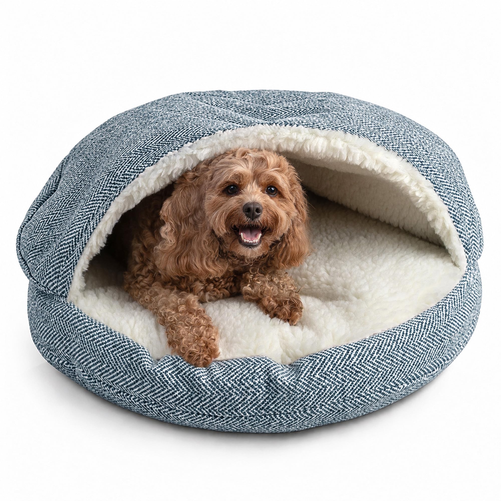 Amazon.com : Snoozer Cozy Cave Dog Bed, Round Covered Dog Bed