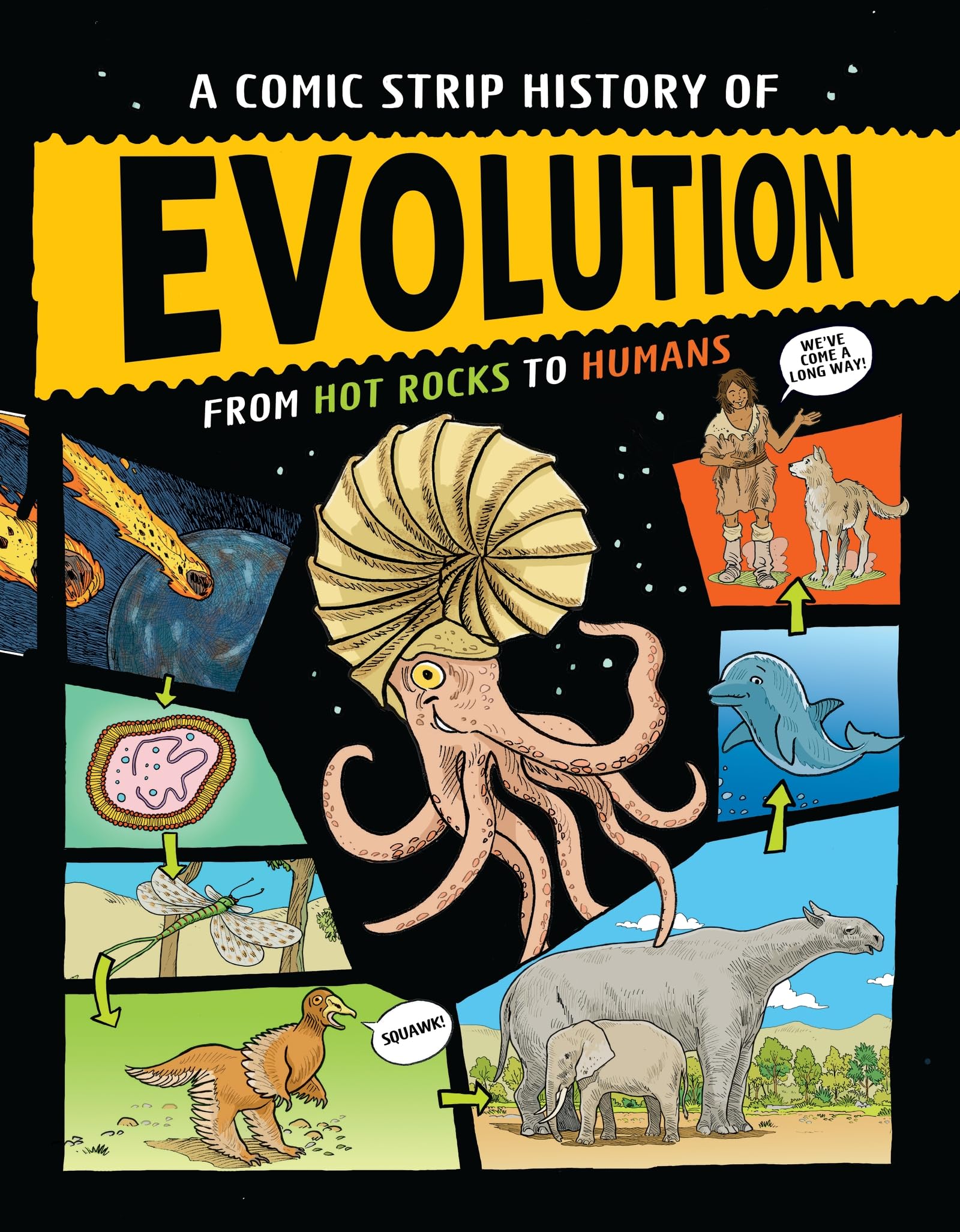 A Comic Strip History of Evolution by Anna Claybourne (Hardback Book)