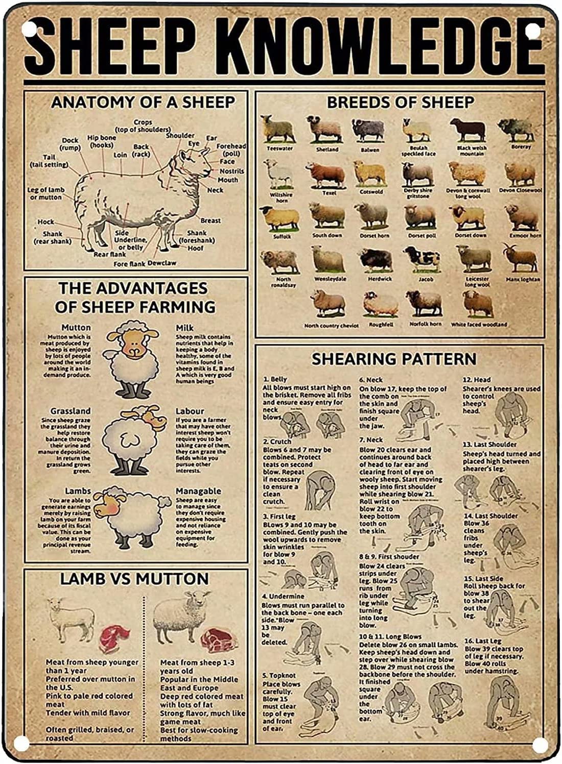 Oudrspo Sheep Knowledge Metal Tin Sign The Advantages Of Sheep Farming Retro Poster Plaque For Farm School Cafe Bar Bedroom Bathroom Kitchen Home Art Wall Decoration 8X12inch