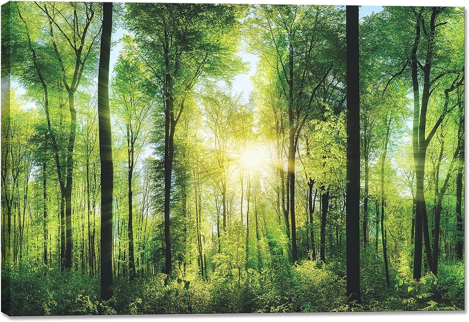 Amazon.co.jp: 山 絵 森林 ポスター 太陽 壁掛け 自然 風景 アート