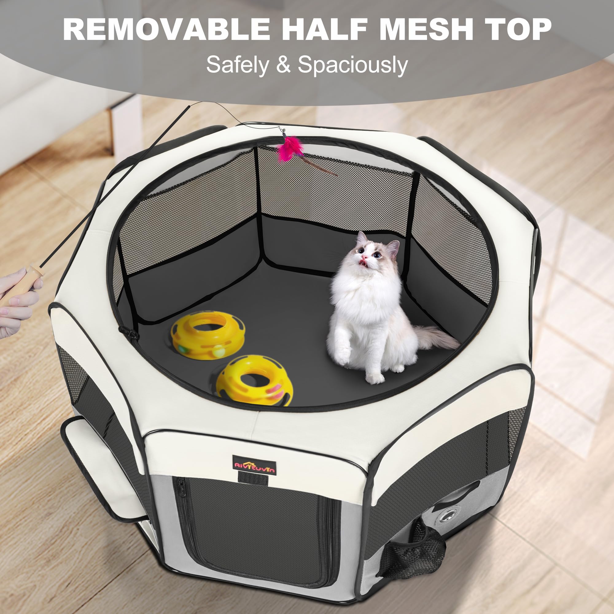 https://m.media-amazon.com/images/I/81quZNkHJqL.jpg
