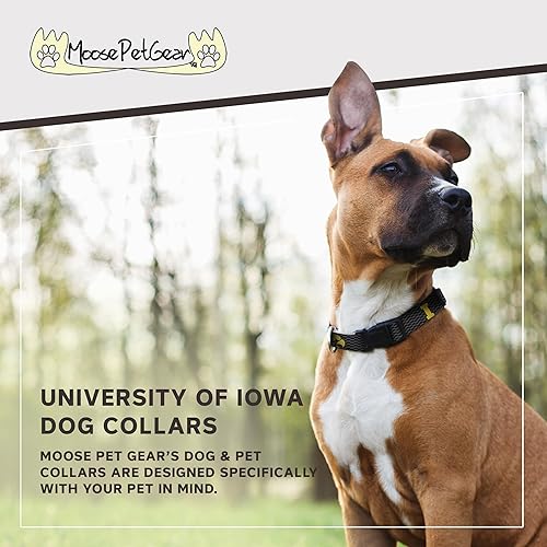 Miniatura 2 de Collar ajustable para perro de la Universidad de Iowa, ropa para mascotas, fabricado en los Estados Unidos, 34 pulgadas de ancho, pequeño, estampado
