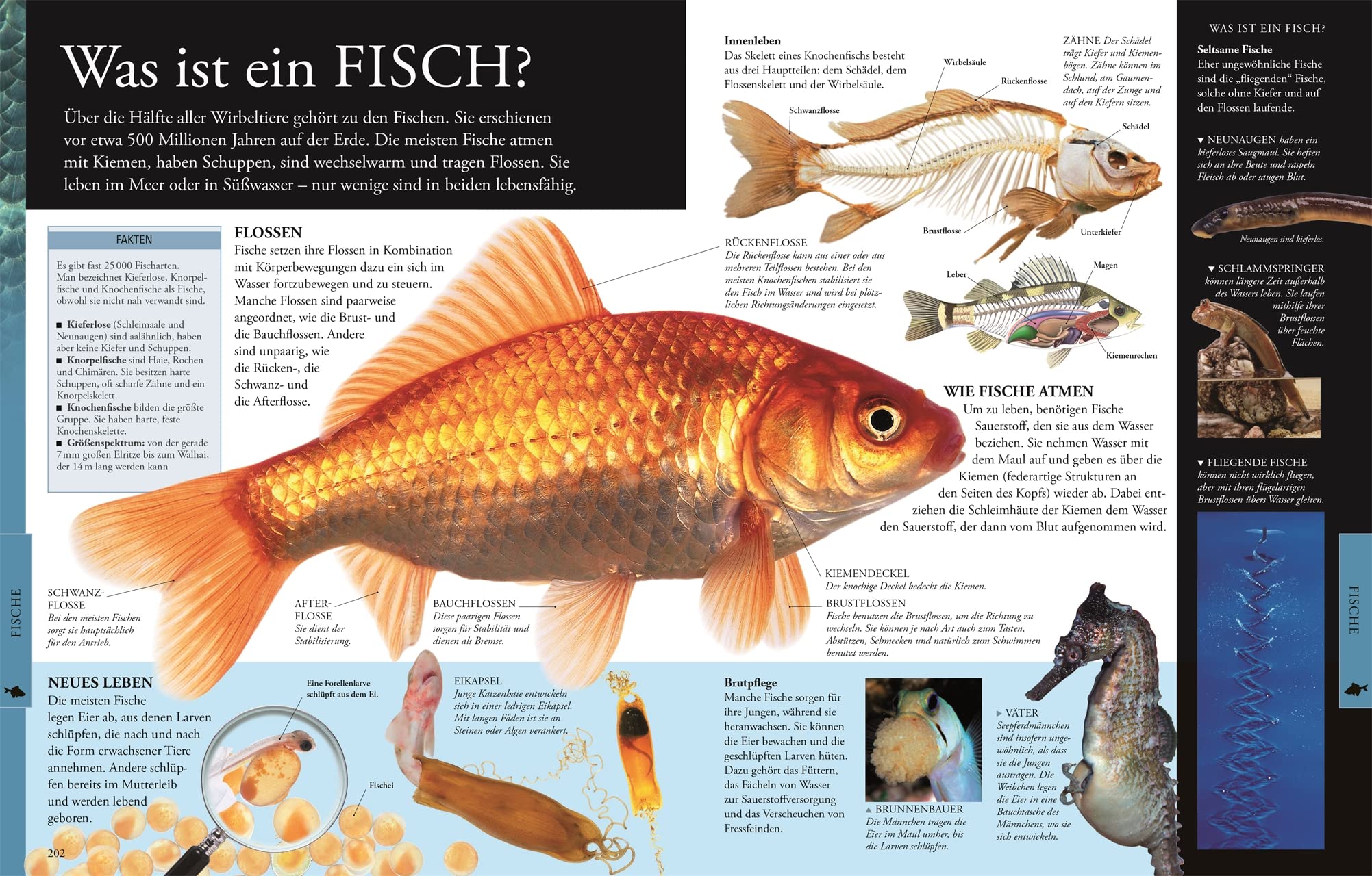 Wissen für clevere Kids. Tiere für clevere Kids: Lexikon mit 1500 farbigen Fotos und Illustrationen für Kinder ab 8 Jahren