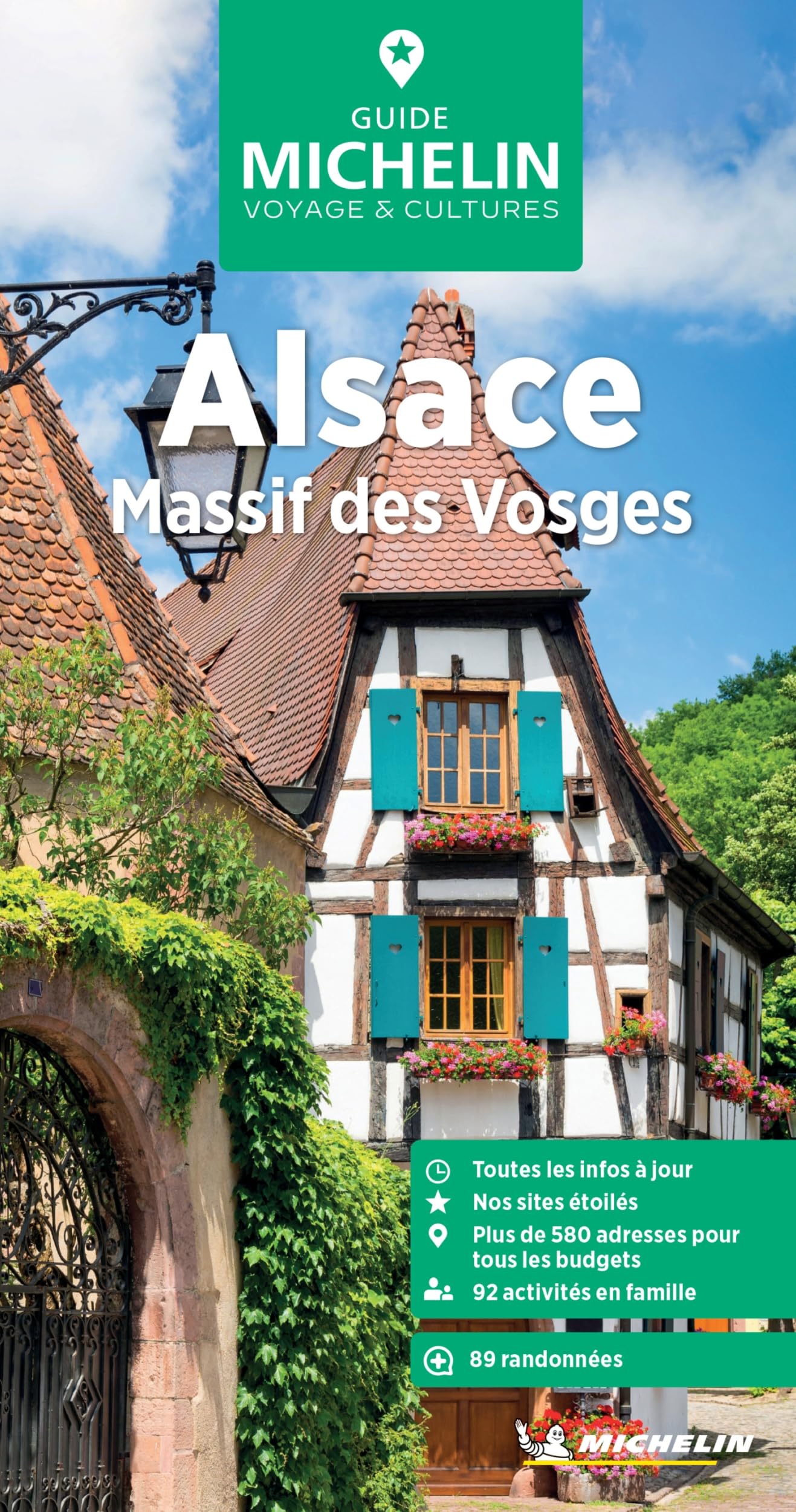 Alsace / Massif Vosges GVF: Massif des Vosges, escapade en Allemagne et à Bâle (Le Guide Vert)