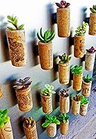 Vista 4 de Corchos de vino, grado ALTA, nuevo auténtico totalmente natural, estampado de alta calidad, corcho de grado artesanal, sin circular, uniforme