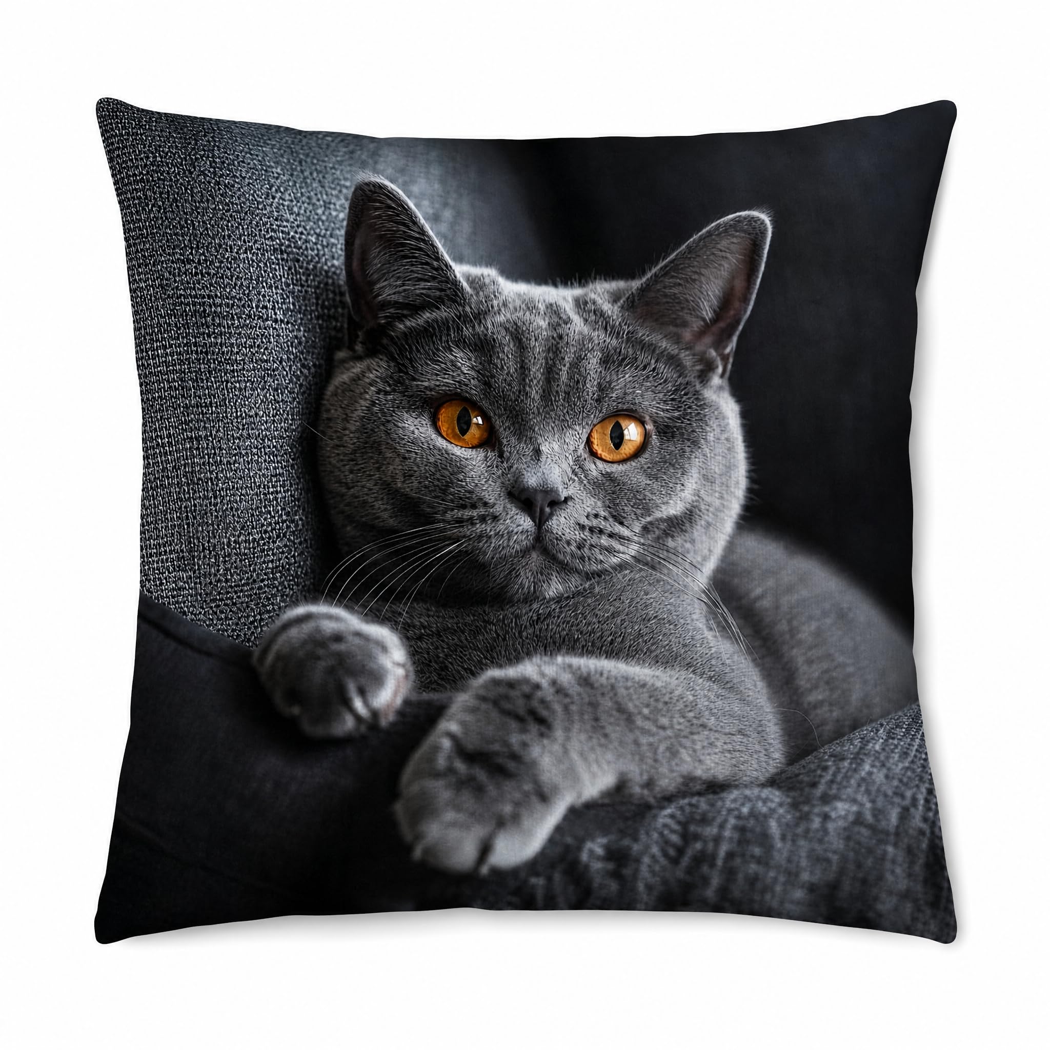 PVOODIRE Cushion Cover 60 x 60 cm Short Pile Cat Design for Sofa, Balcony โ image 1