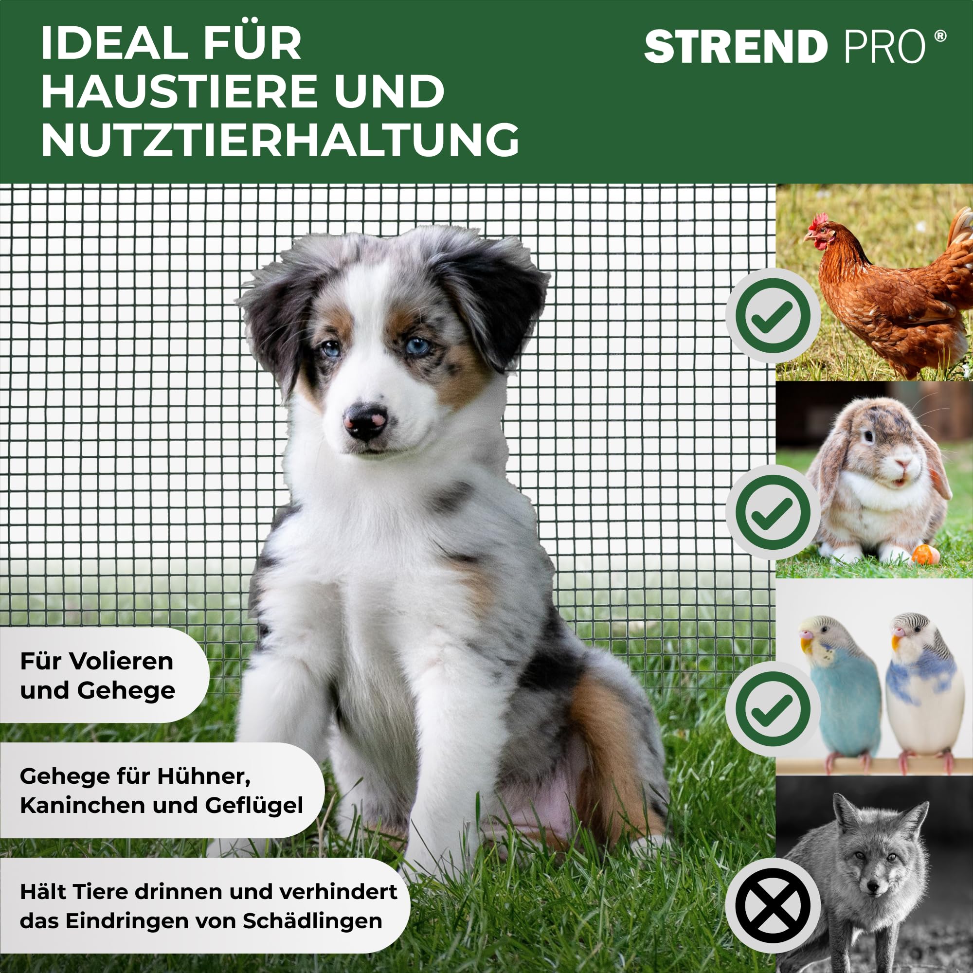 STREND PRO Maschendrahtzaun | Geschweißt - PVC | 0.5m x 5m | 1,2 mm, 12,7x12,7mm | Kaninchendraht, Hasendraht, Volierendraht für Garten & Tierhaltung | Hasengitter, Hühnerzaun, Zaun