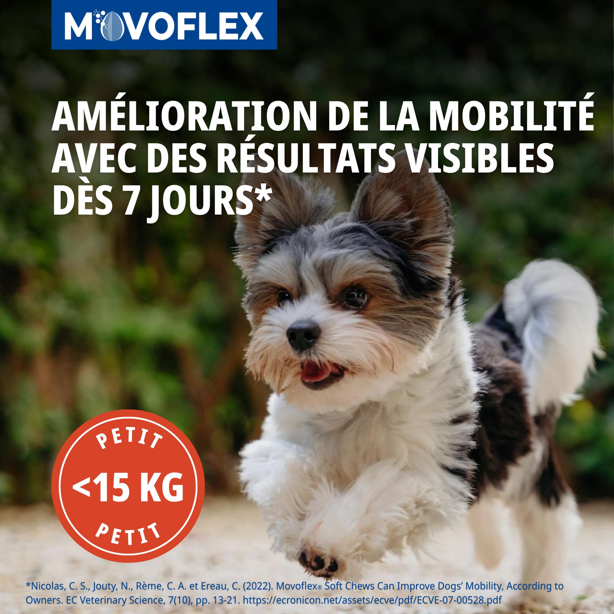 Virbac Movoflex Chien S Aliment complémentaire pour Le Soutien des articulations et de la mobilité – Petits Chiens de Moins de 15 kg – Boîte de 30 bouchées
