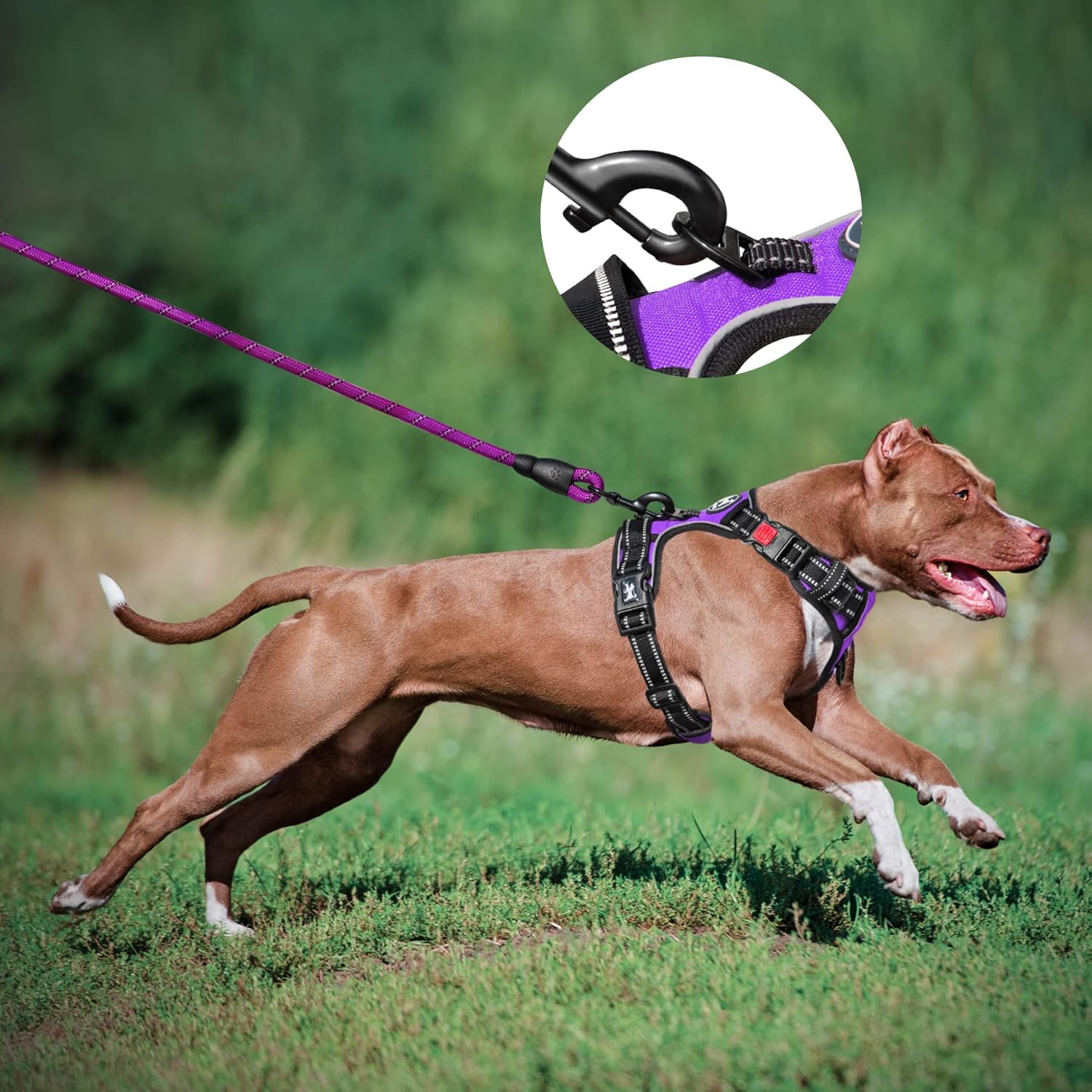 PoyPet Dog Harness and Leash Combo, Escape Proof No Pull Vest Harness, with 5 Feet Leash, Reflective Adjustable Soft Padded Pet Harness with Handle for Small to Large Dogs(Purple,S)