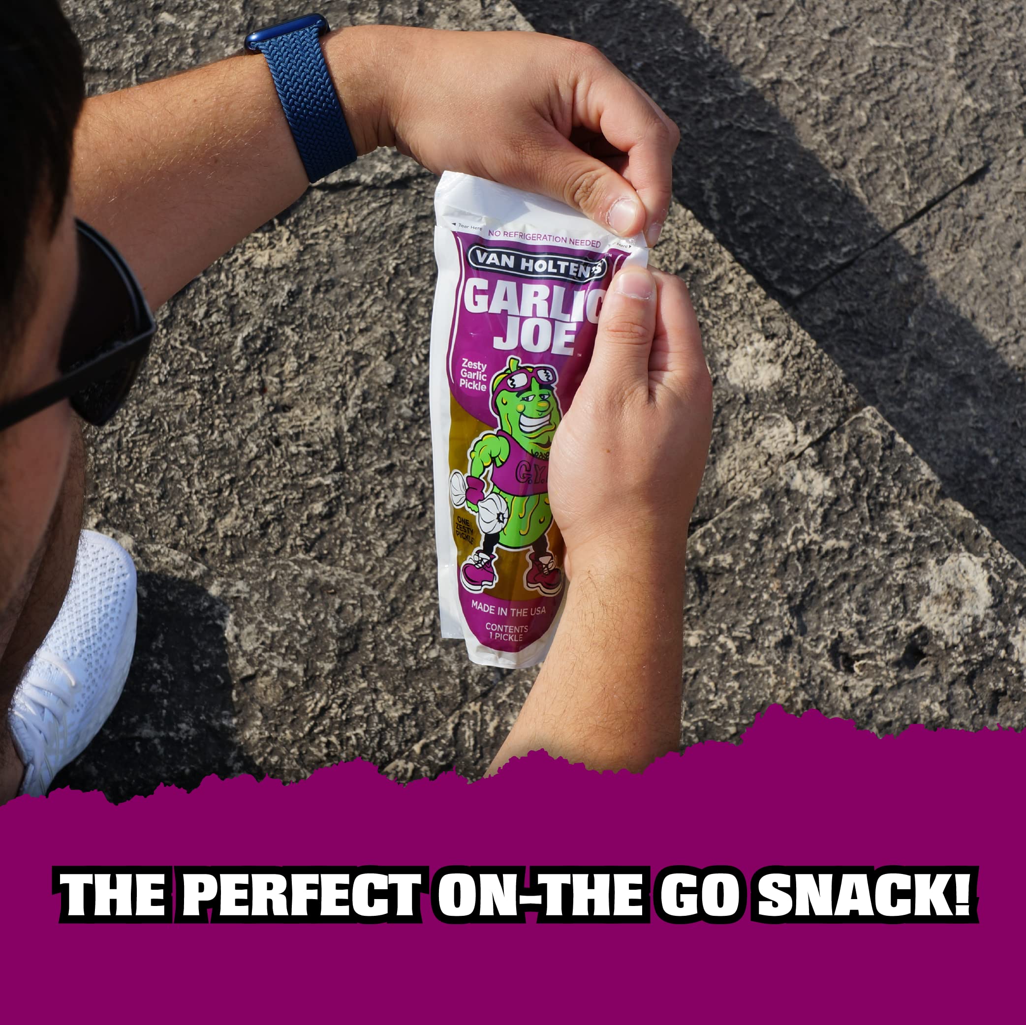 Van Holten's Pickles Garlic Joe PickleInAPouch 12 Pack Buy