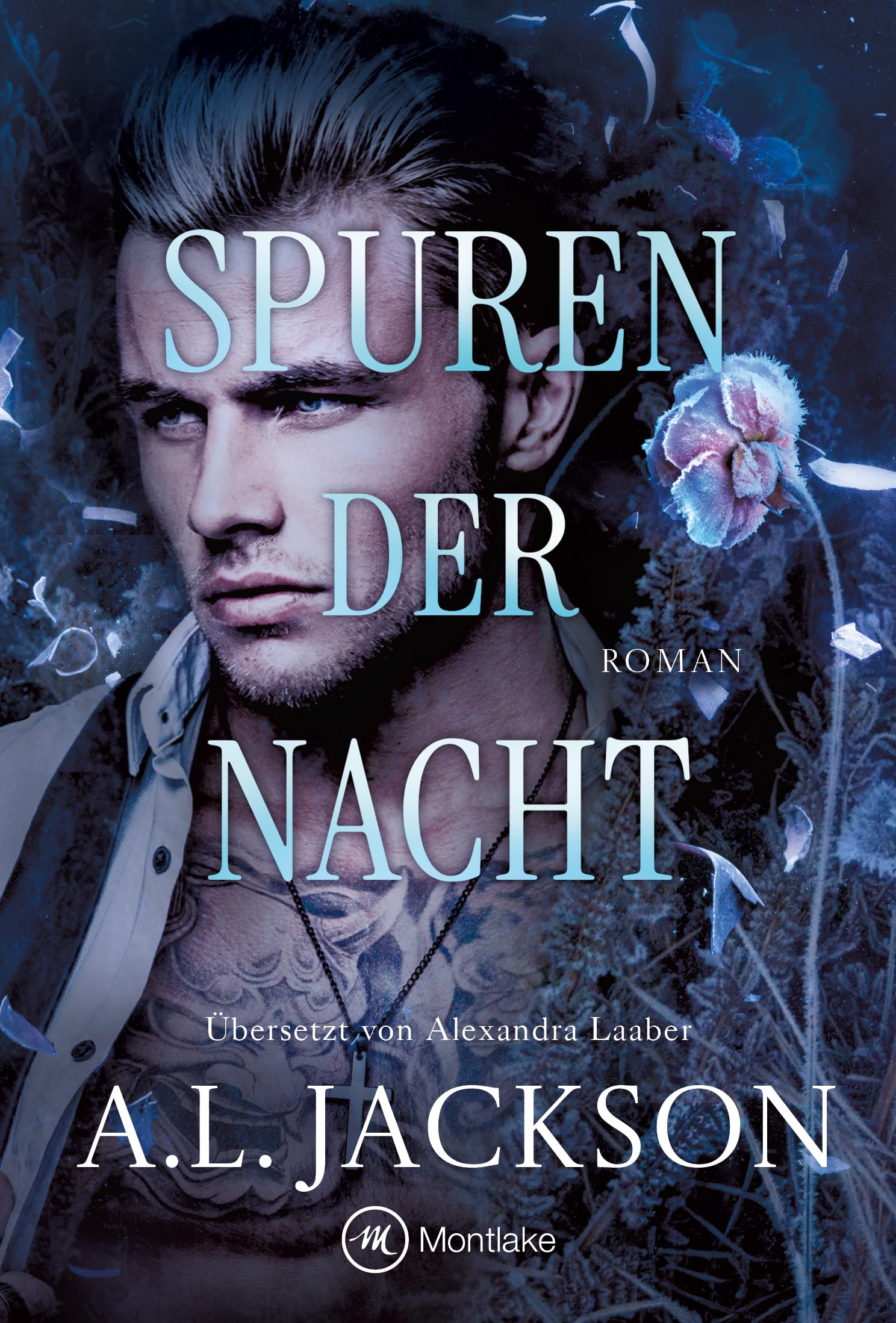 Spuren der Nacht (Nachtmagie 2)