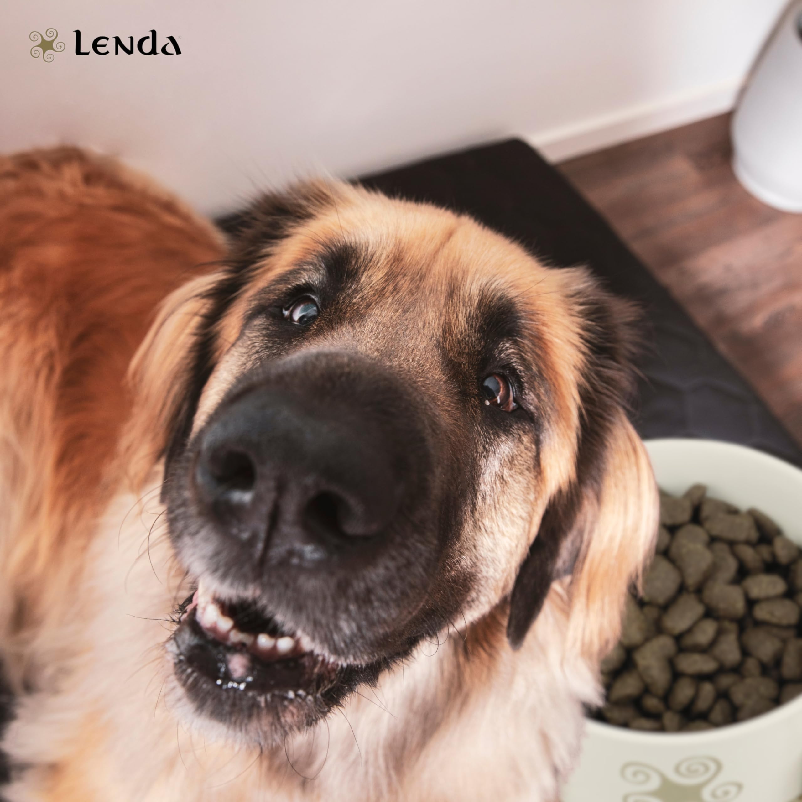 Lenda Chicken Maxi 12kg - Pienso para Perros Jóvenes y Adultos | Razas Grandes y Gigantes | Comida para Perros Grandes Rica en Pollo | Natural