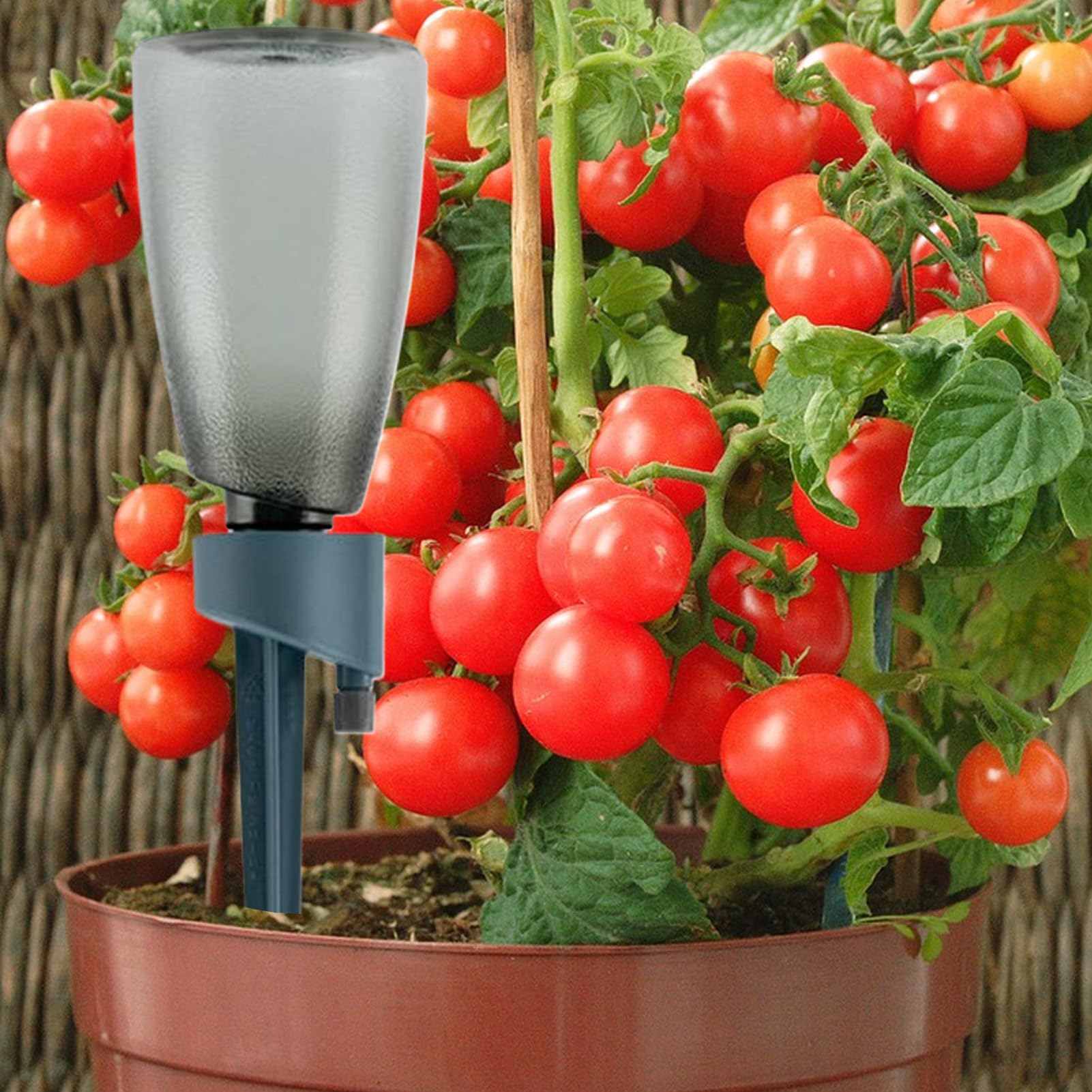 Lot de 6 pics d'arrosage pour , avec bouteille, goutteur automatique avec libération lente pour l'intérieur et l'extérieur, le balcon, la vie quotidienne, les vacances