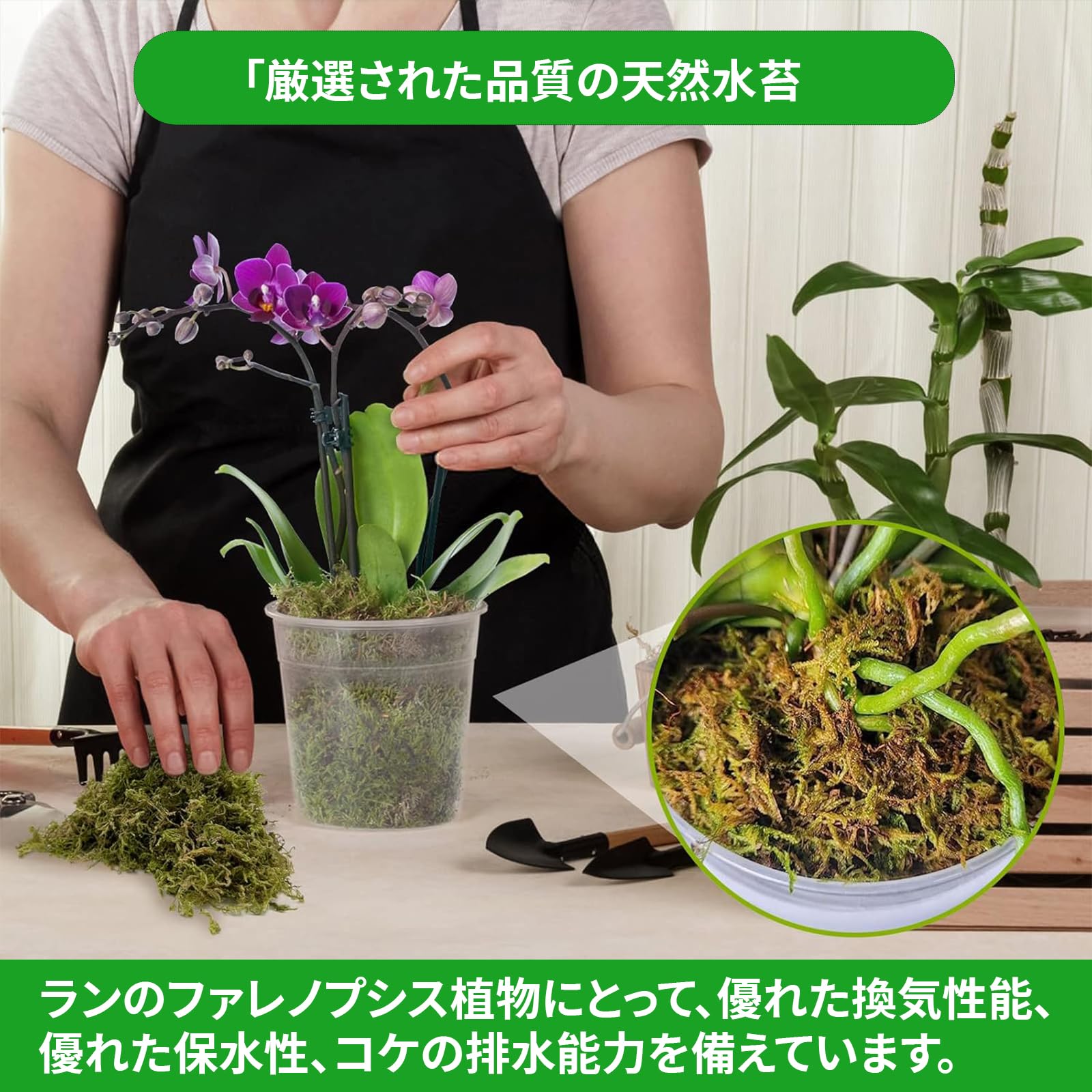 Amazon.co.jp: DEVENTORZ 水苔 - 天然水苔 水苔 圧縮水苔 ミズゴケ