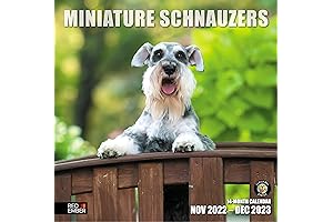 Mini Schnauzer Calendar 2023: The Perfect Way to Keep Track of Your...