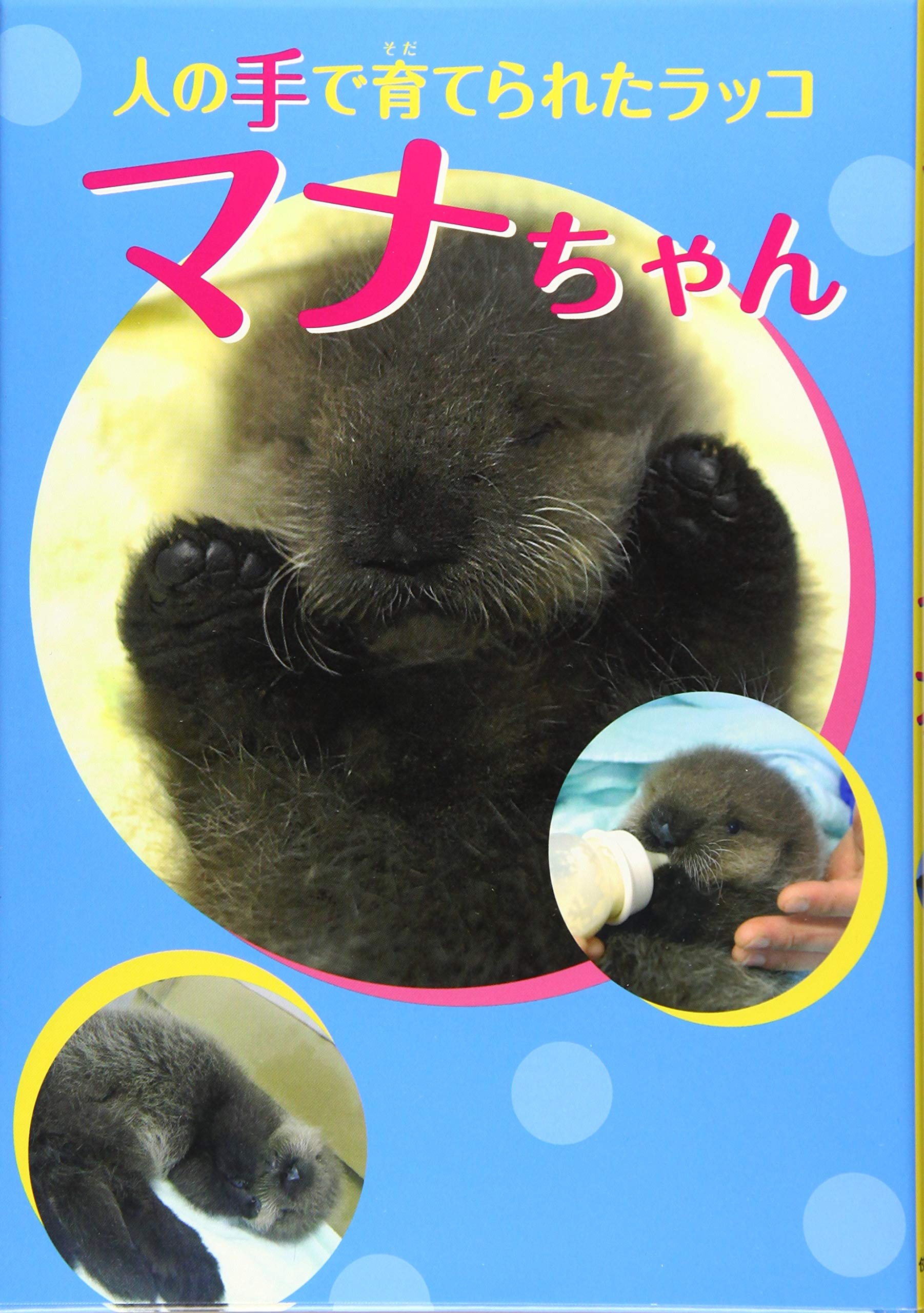 人の手で育てられたラッコ マナちゃん はじめてのノンフィクションシリーズ 文 井上こみち 本 通販 Amazon